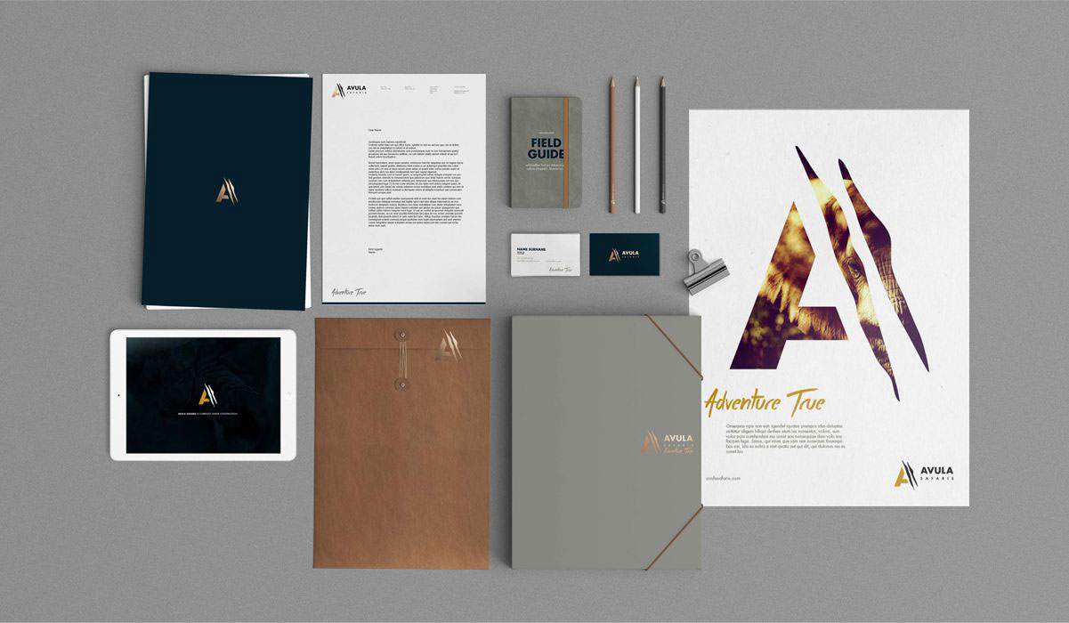 Avula Visual Identity system