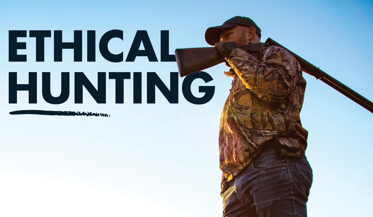 Avula safaris brand style ethical hunting