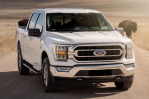 Ford Content creation