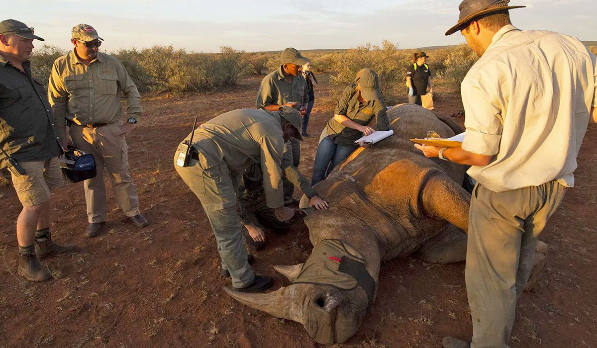 Rockwood conservation brand photography