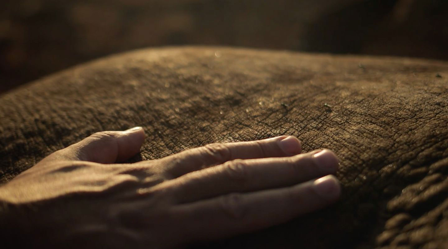 Rockwood conservation branded photography