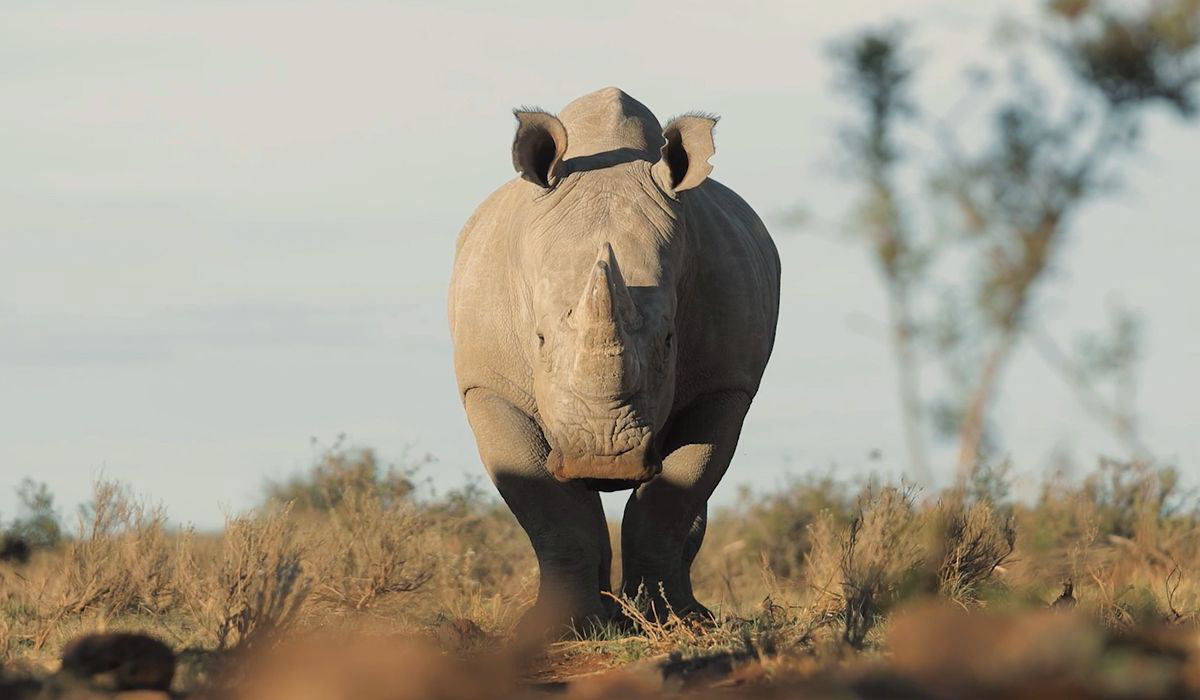 Rockwood conservation on location photography