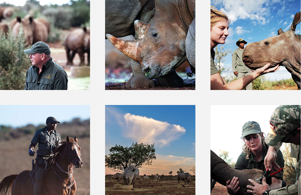 Rockwood conservation social media photography