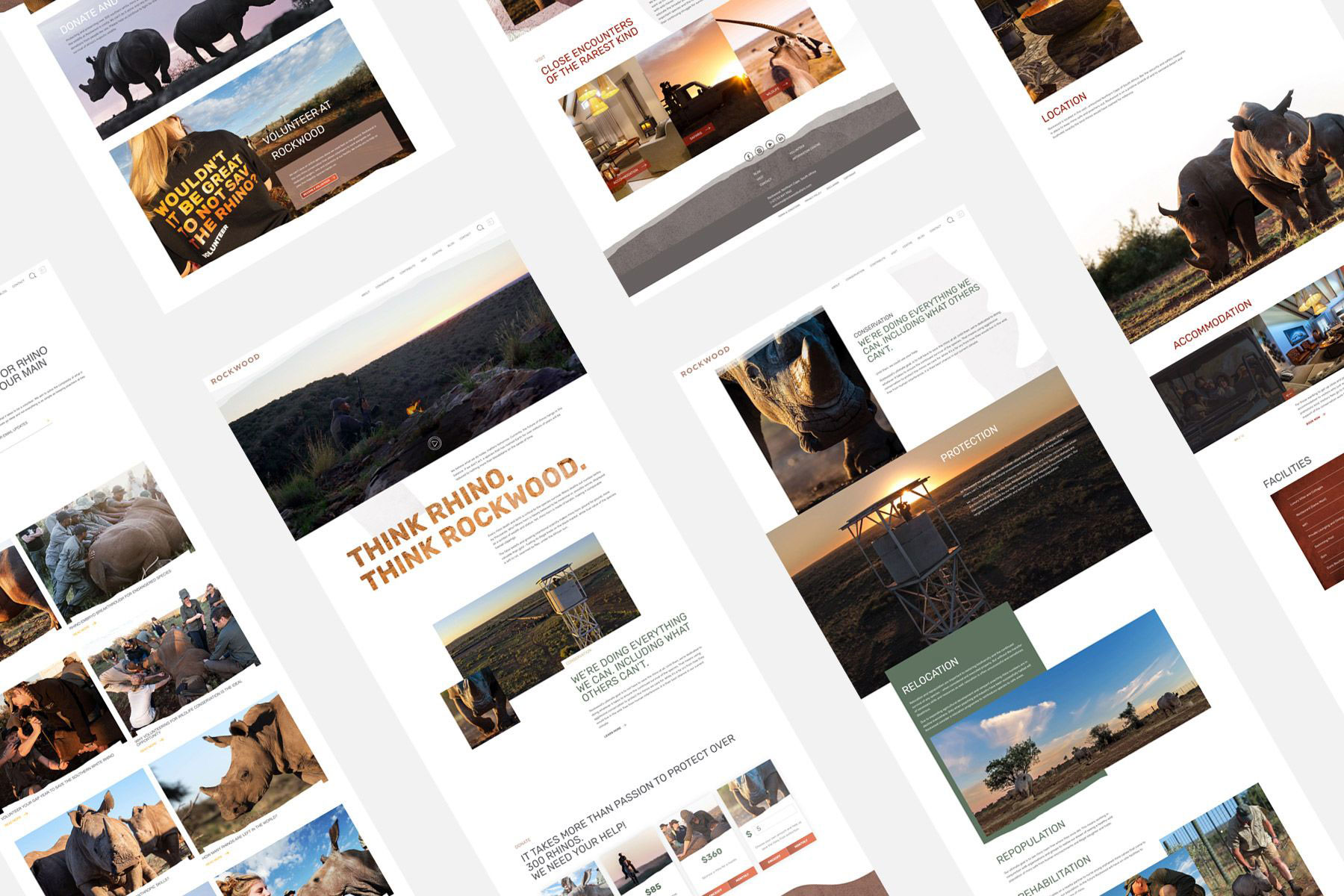 Rockwood conservation website design development