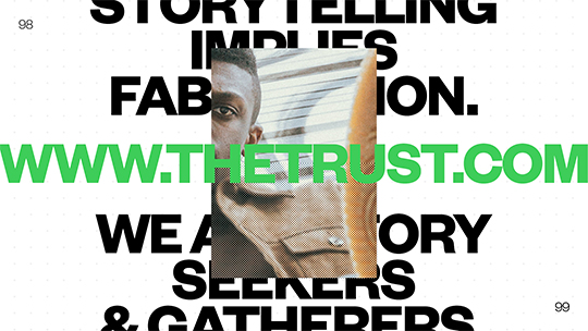 The Trust Visual brand identity design