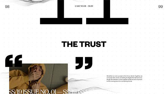 The Trust website design comp