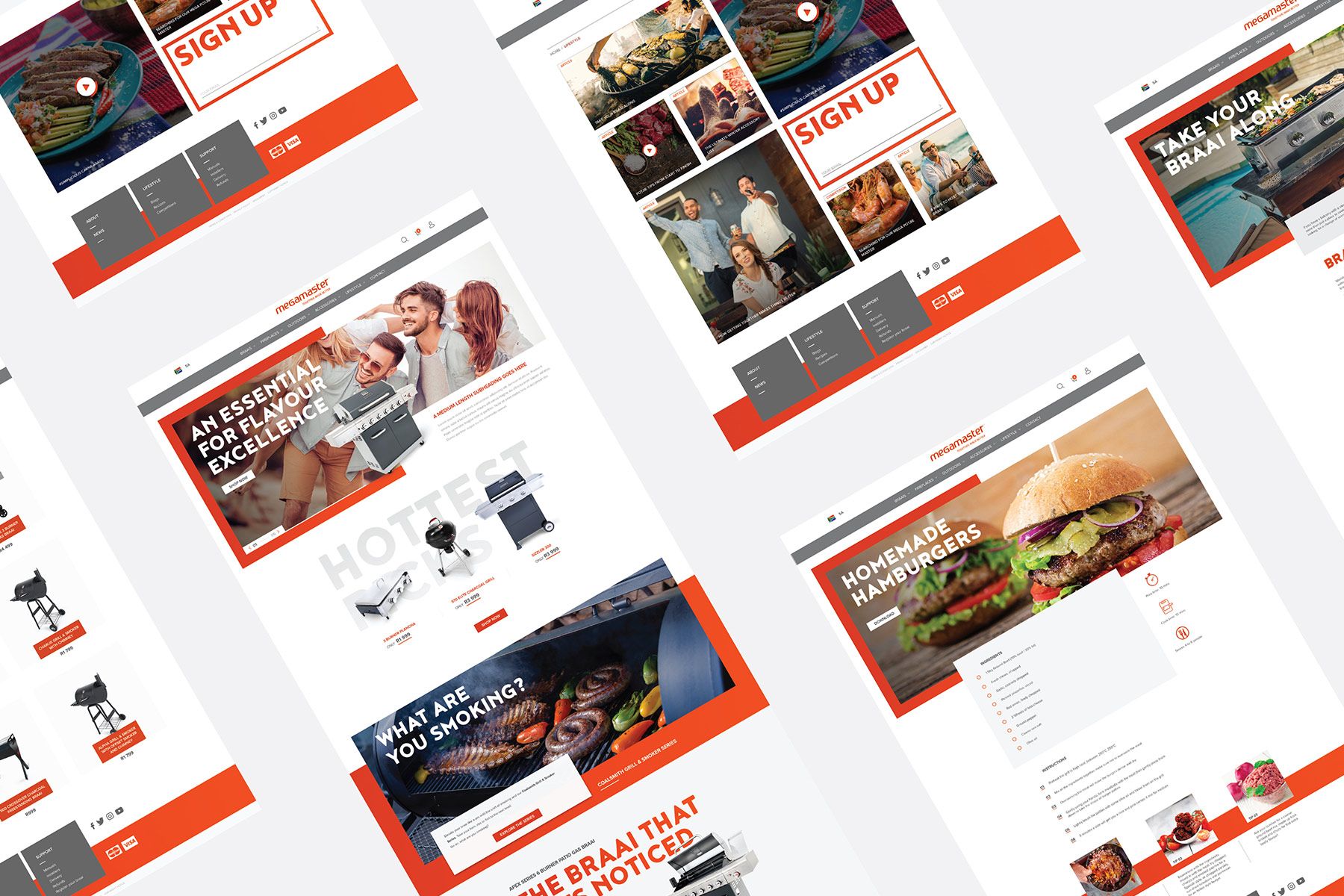 braii brand website design