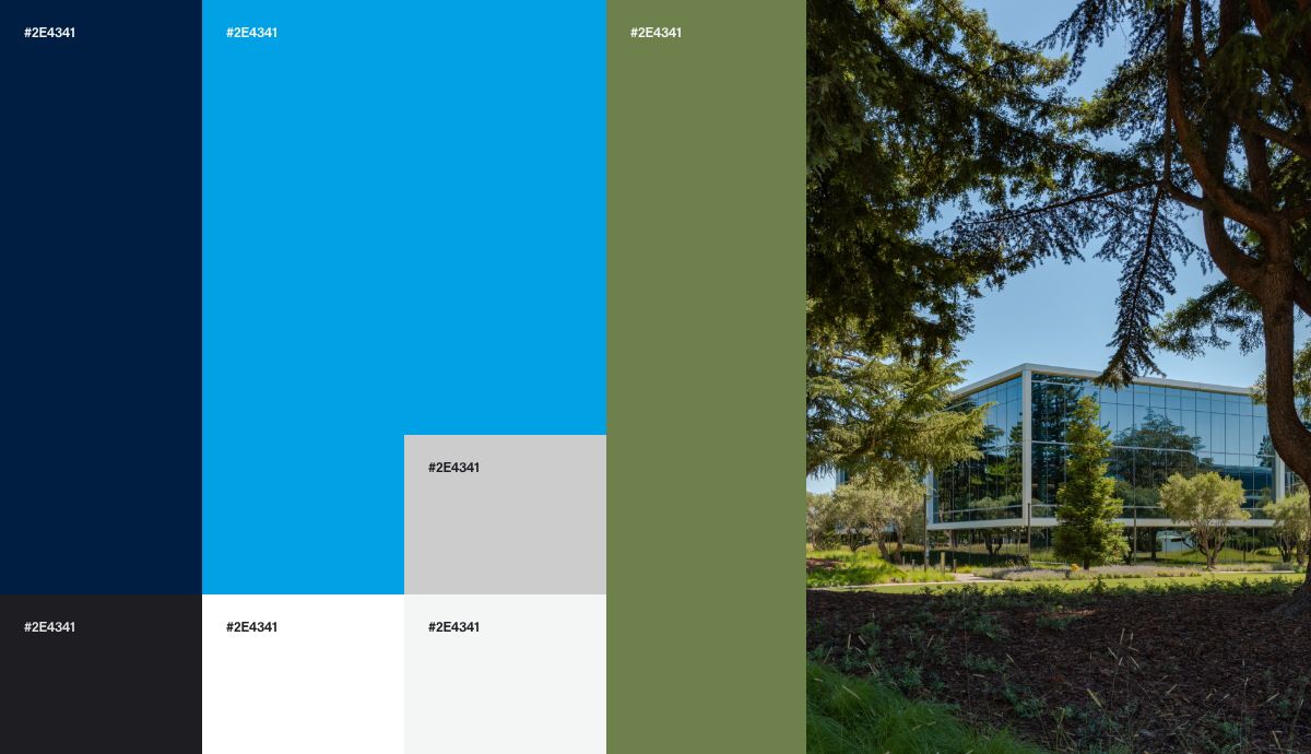 brand color strategy