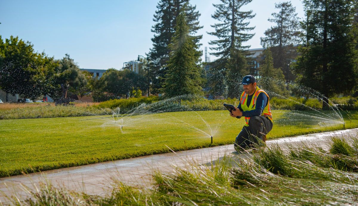 branded business photography