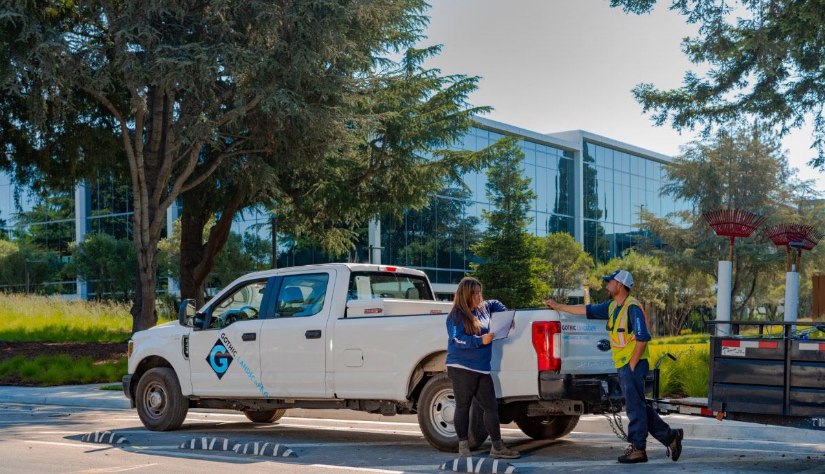 gothic landscape photography