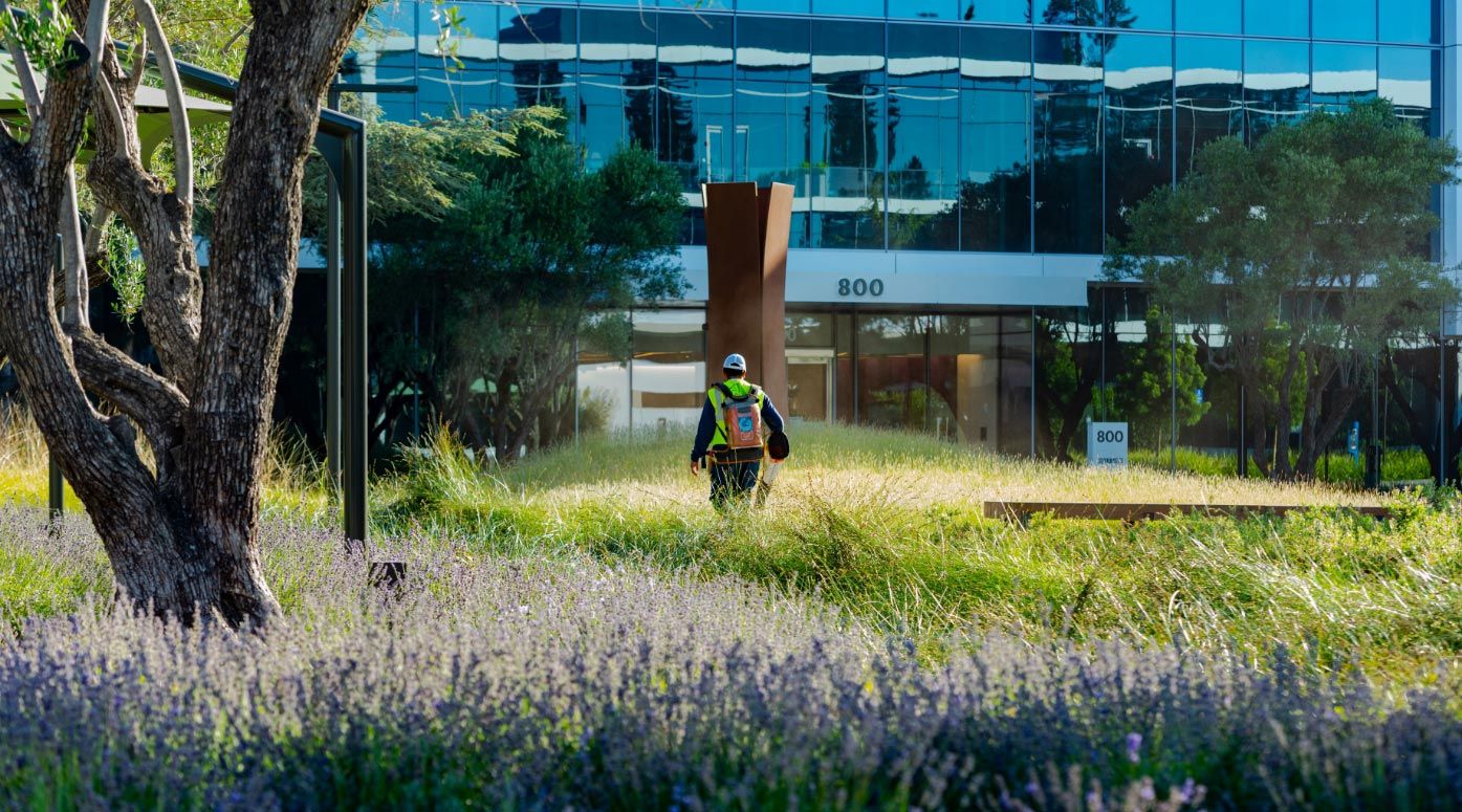 landscape brand photography