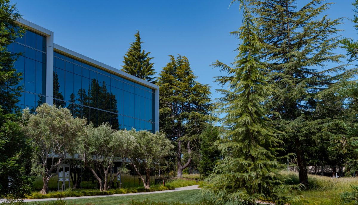 landscape photography creative direction