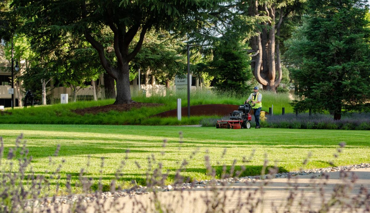 landscape photography gothic