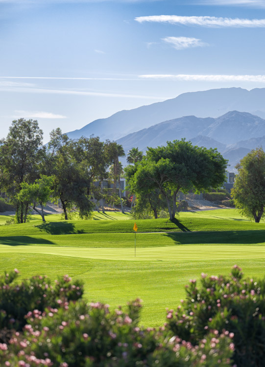 palm springs resort branding