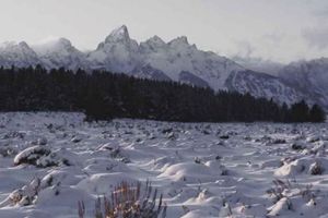 rocky mountain creative agency